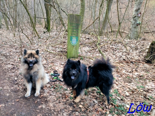 14.2.2023 - Dwix und Howard auf dem Weg zu den Weinbergen